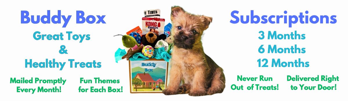 Buddy Box 2025