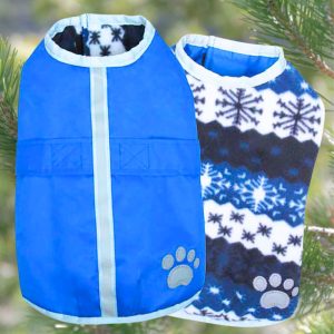 Zack & Zooey Nor’easter