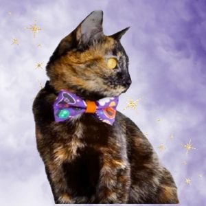 Made By Cleo Halloween