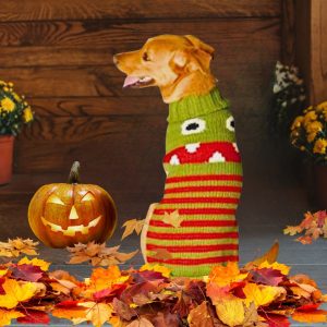 Chilly Dog Little Monster