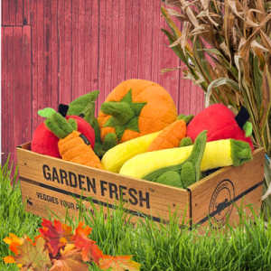 PLAY Garden Vegetables