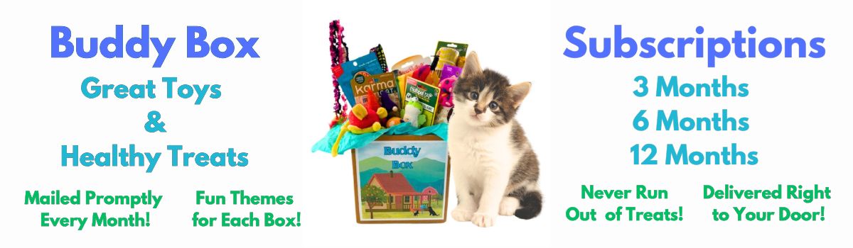 Buddy Box Cat Banner 2025