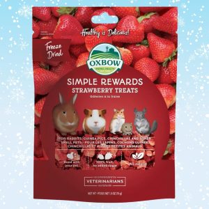 Oxbow Simple Rewards Strawberry Treats