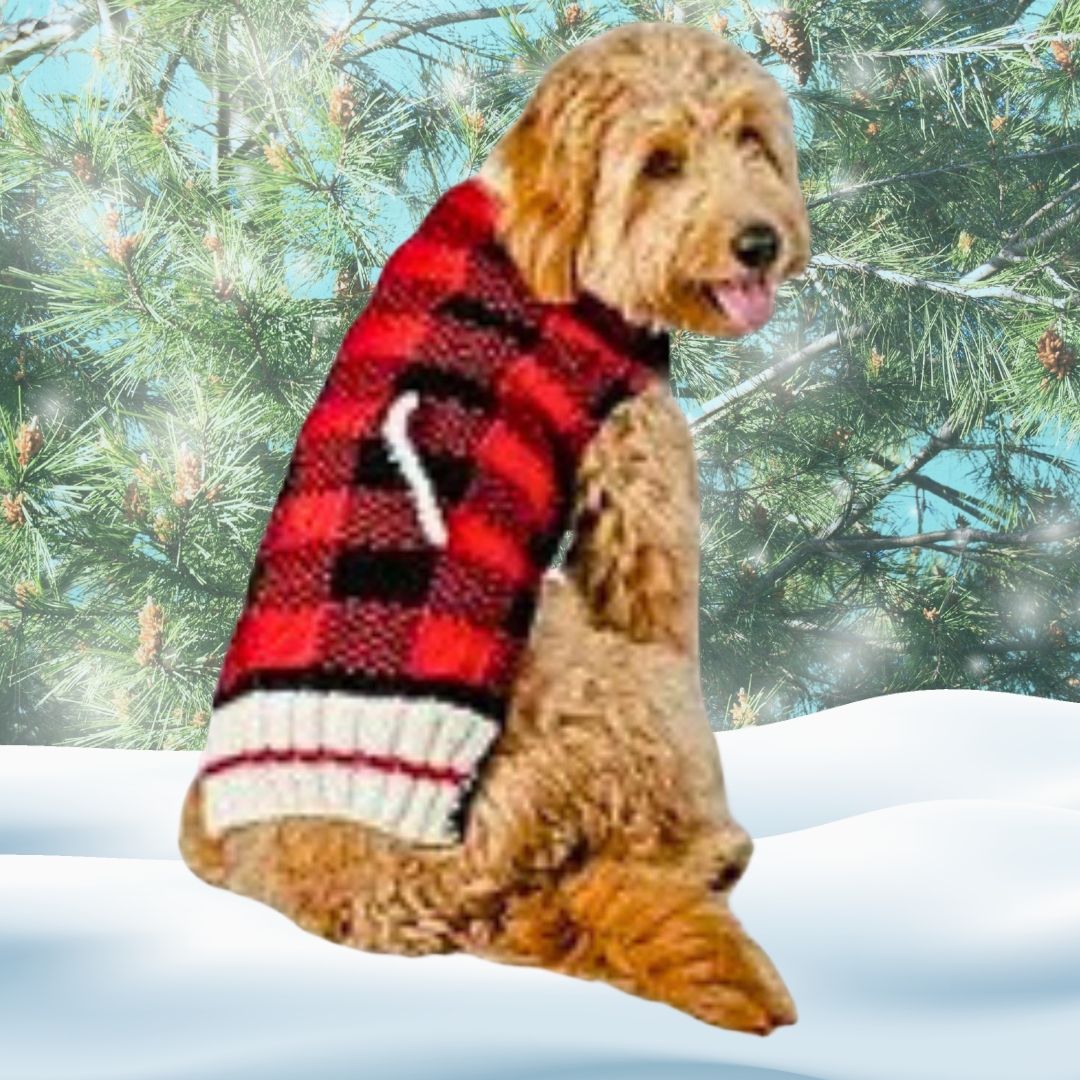 Chilly Dog Buffalo Plaid