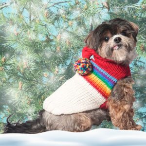 Chilly Dog Vintage Ski