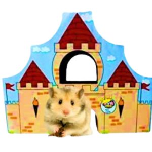 Play n Shapes Medium