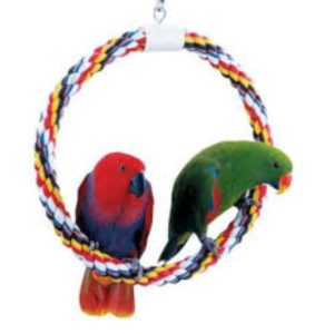 JW Pet Swing