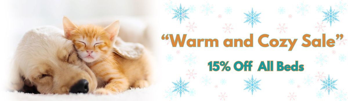 Jan Warm & Cozy Banner