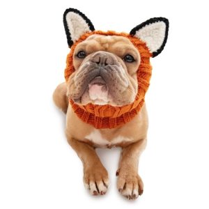 Fox Zoo Snood