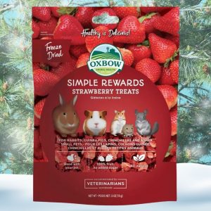 Oxbow Simple Rewards Strawberry Treats