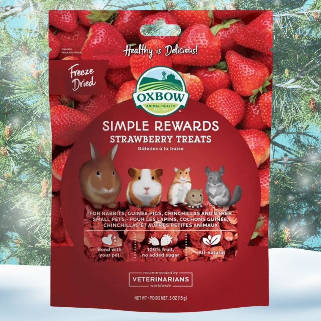 Oxbow Simple Rewards Strawberry Treats