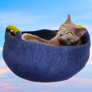 Dharma Dog Karma Cat