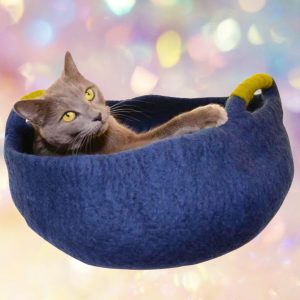 Dharma Dog Karma Cat