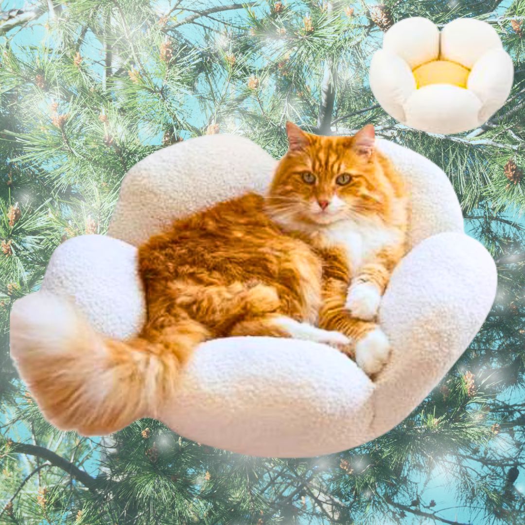 Catstages Purrfect Petals