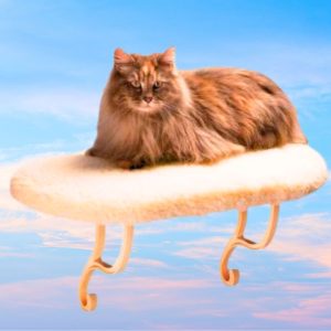 K&H Kitty Sill