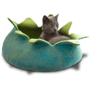Dharma Dog Karma Cat