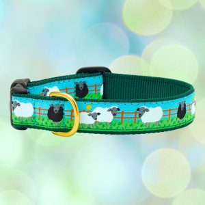 Up Country Counting Sheep