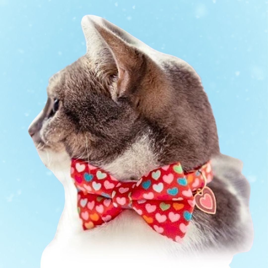 Made by Cleo Modern Love