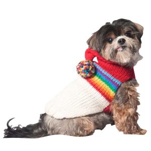 Chilly Dog Vintage Ski