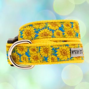 Worthy Dog Sunflower