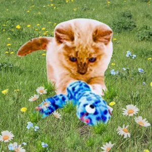 Coastal Pet Turbo Creature