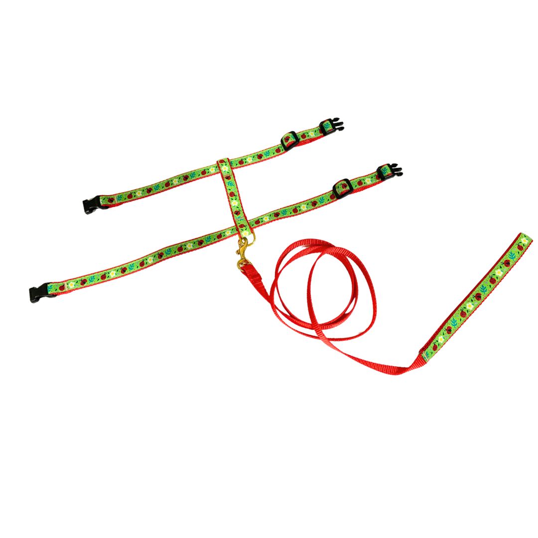 Up Country Ladybug Cat