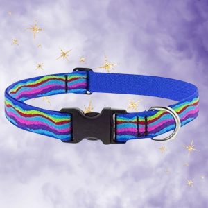 Lupine Pet Ripple Creek Dog Collar