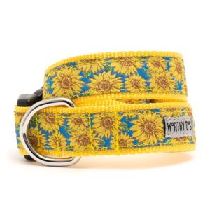 Worthy Dog Sunflower