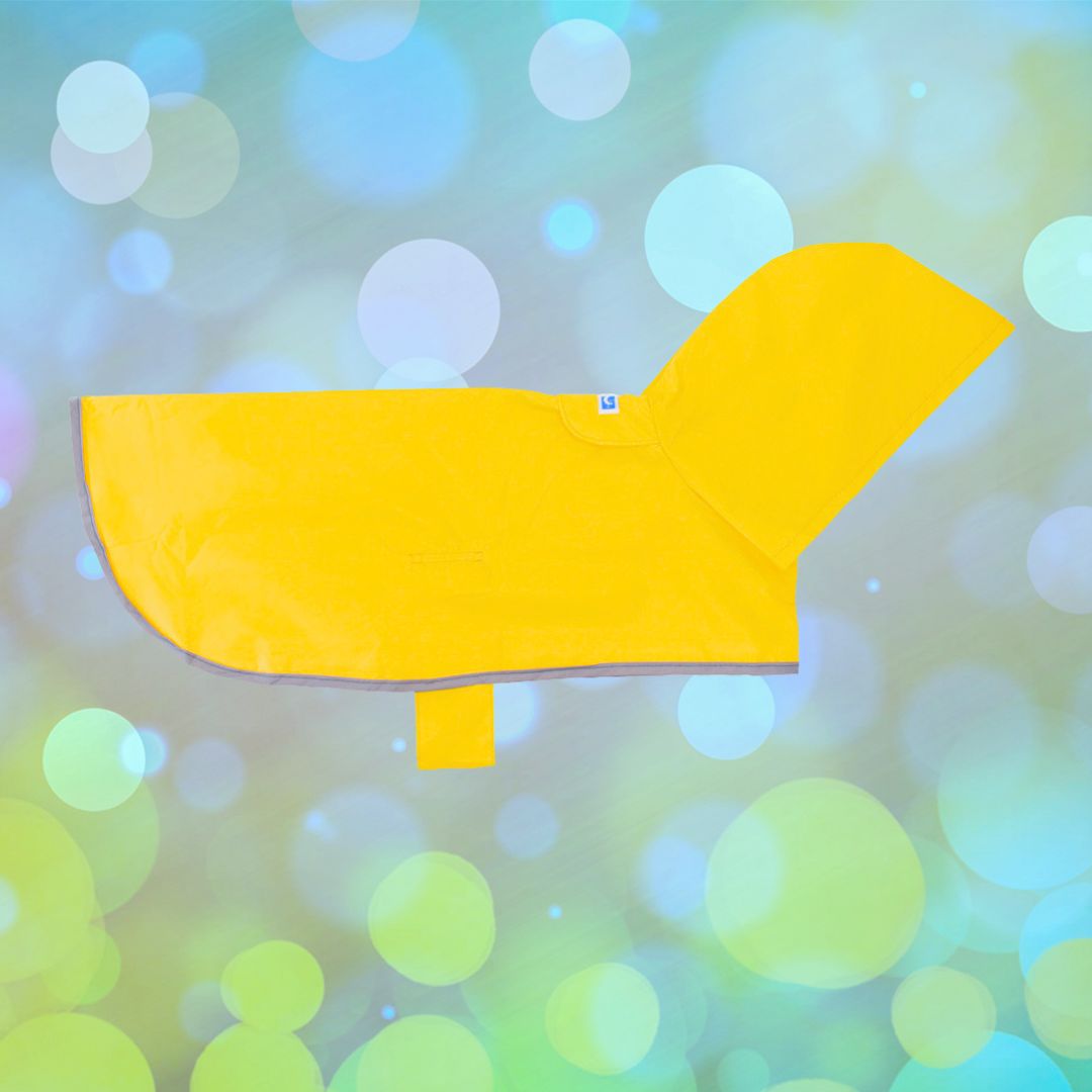 RC Pet Yellow Sunshine