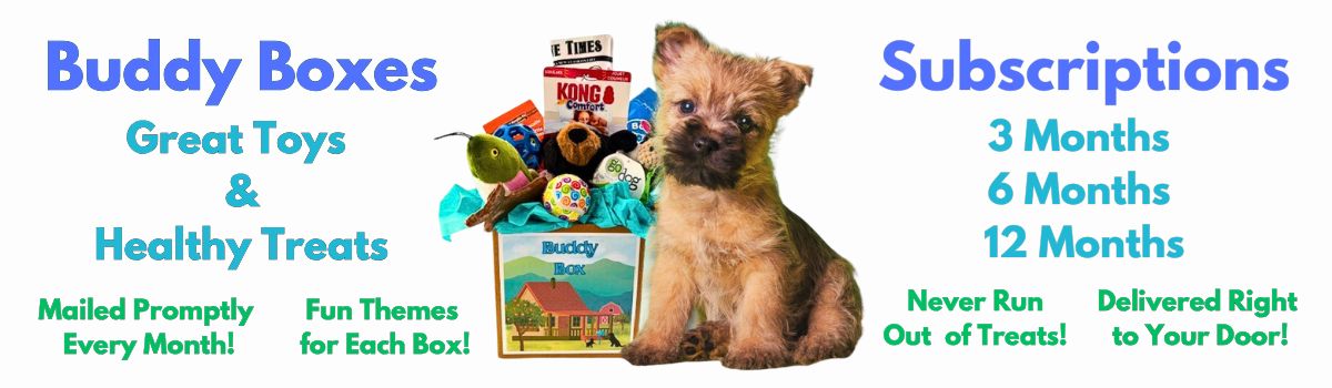 Buddy Boxes  Banner 2026 (1200 x 350 px) (2)