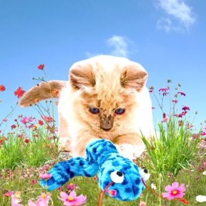 Coastal Pet Turbo Creature