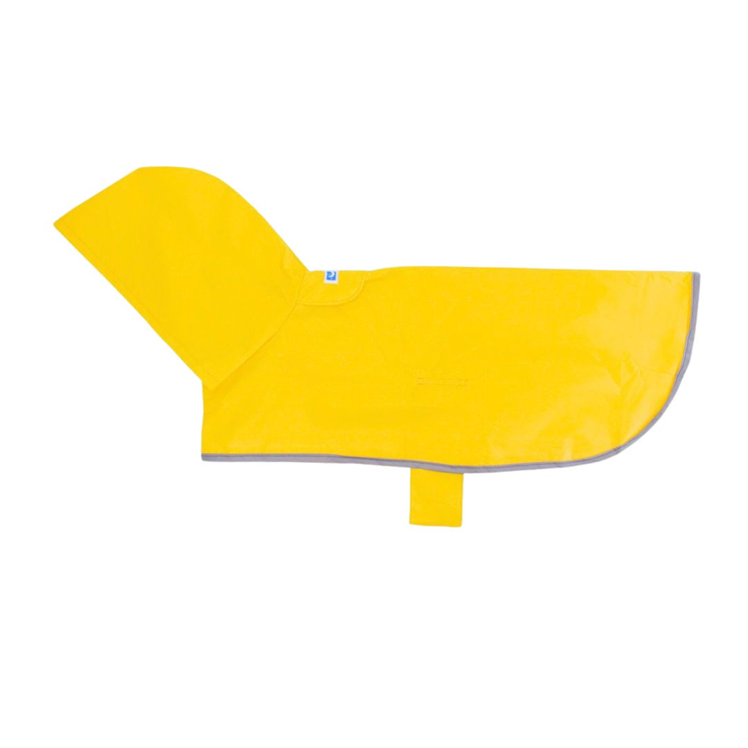 RC Pet Yellow Sunshine