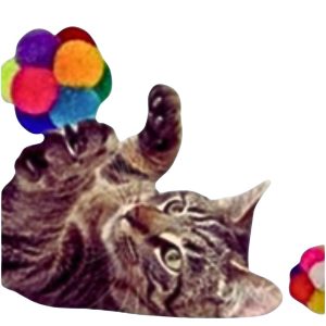 Goli Design Catomic Catnip