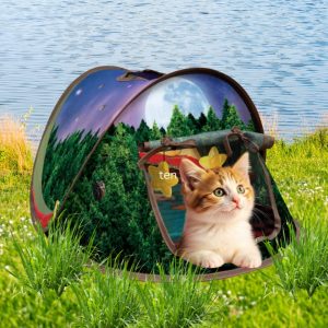 Kong Play Spaces Glamping