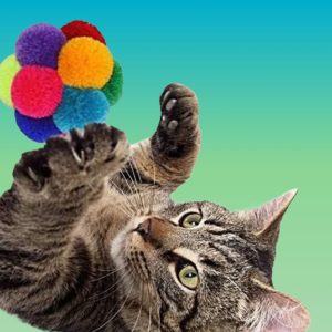 Goli Design Catomic Catnip