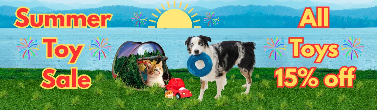 July Toy Sale