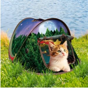 Kong Play Spaces Glamping