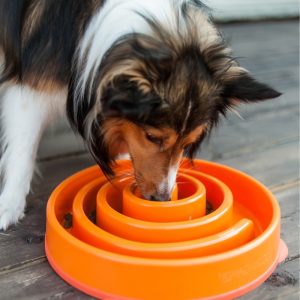 Outward Hound Fun Feeder Slo Dog Bowl Medium Orange Swirl