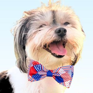 Worthy Dog Americana