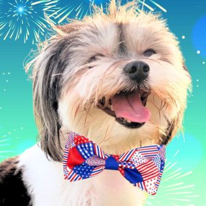 Worthy Dog Americana