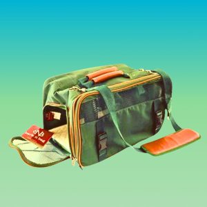 Bark N Bag Green Pet Carrier