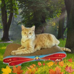 Imperial Cat Red Butterfly