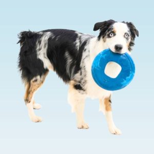 West Paw Sailz Seaflex Flyers Dog Toy