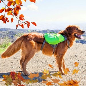Outward Hound Daypak