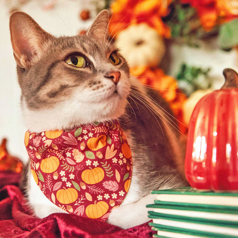 Made by Cleo Pumpkin Patch Cranberry