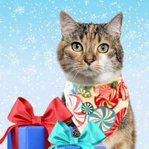 Bandy’s Bandanas Peppermint