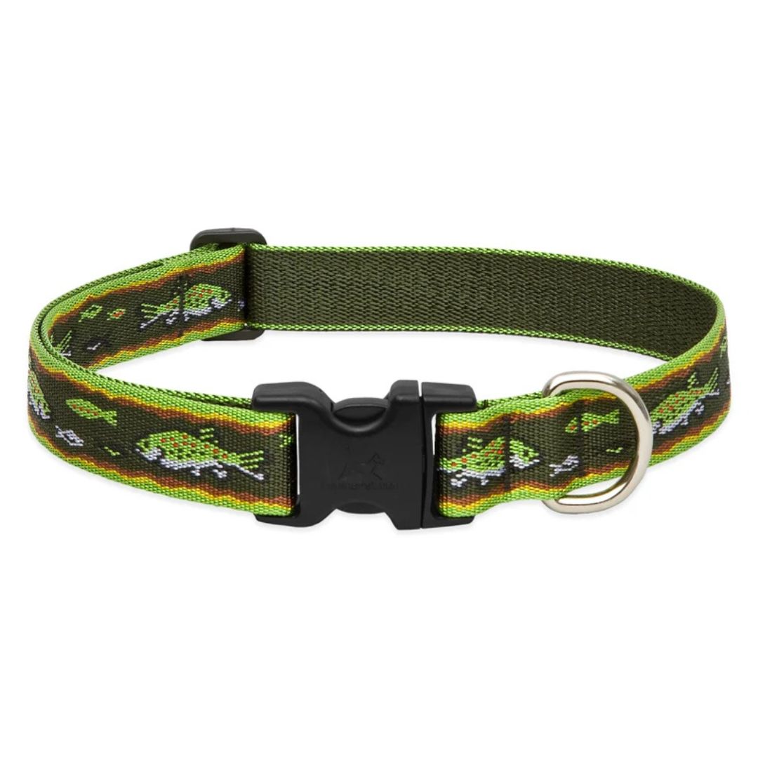 Lupine Pet Brook Trout Dog Collar