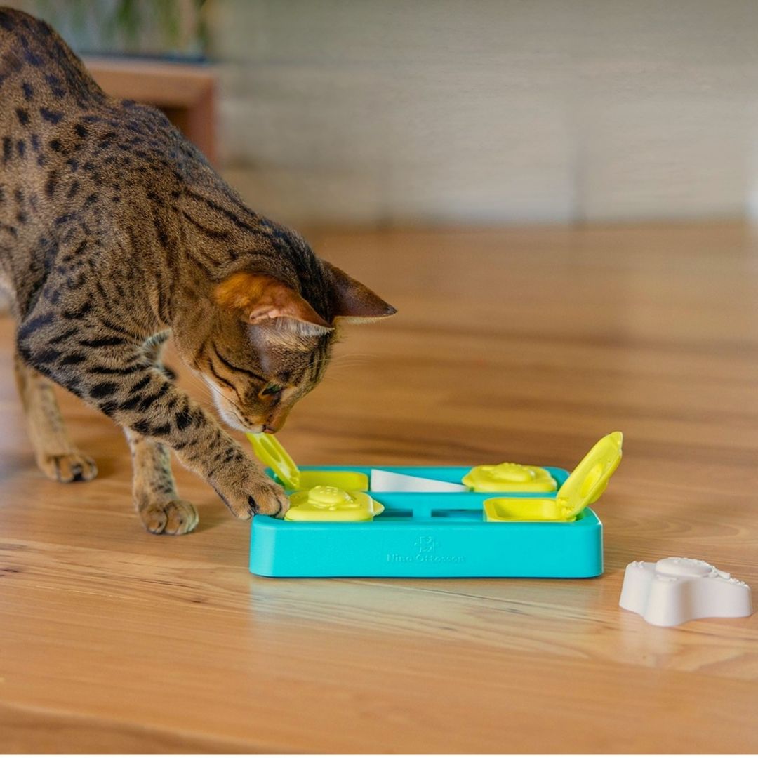 Catstages Nina Ottosson Kitty